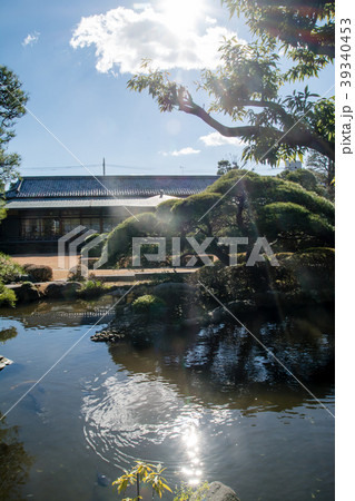輝く太陽の下の柴又帝釈天の庭園 輝く太陽の下の柴又帝釈天の庭園 39340453