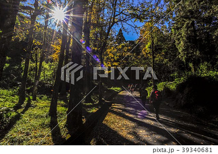 朝陽 朝日 あさひ 39340681