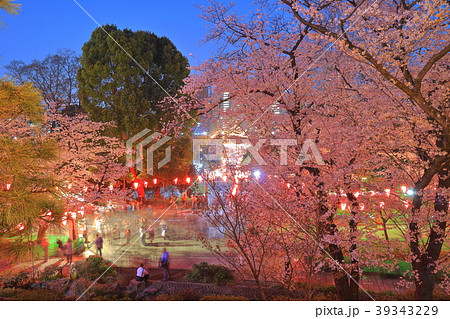 上野恩賜公園の夜桜 39343229