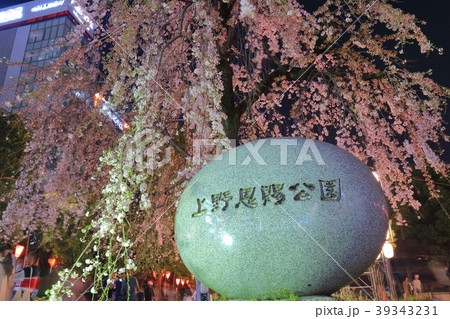 上野恩賜公園の夜桜 39343231
