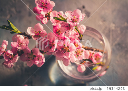pink cherry blossom 39344298