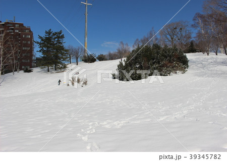平岸高台公園 平岸高台公園 39345782