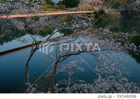 桜咲く月ヶ瀬湖畔（奈良市月ヶ瀬） 39346096
