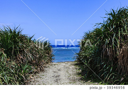 海へ抜ける道 小浜島 立原浜 海へ抜ける道 小浜島 立原浜 39346956