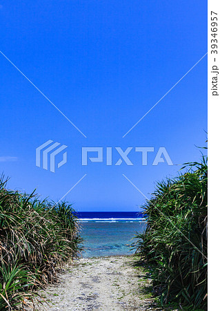 海へ抜ける道 小浜島　立原浜 39346957