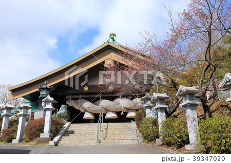 常陸国(ひたちのくに)出雲大社 拝殿と本殿に続く参道 常陸国(ひたちのくに)出雲大社 拝殿と本殿に続く参道 39347020
