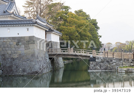 駿府城のお堀と満開の桜(静岡県静岡市) 駿府城のお堀と満開の桜(静岡県静岡市) 39347319