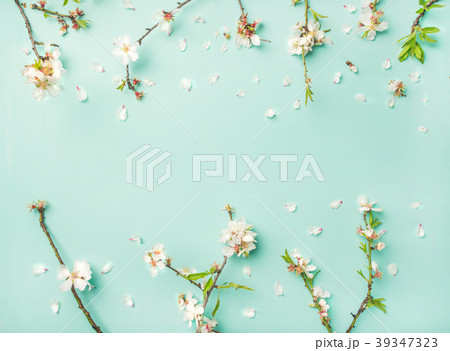 Spring almond blossom flowers over light blue 39347323