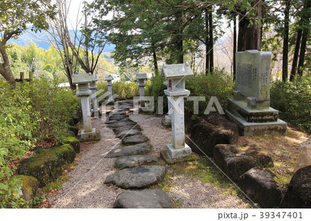 常陸国（ひたちのくに）出雲大社　龍蛇神社の参道 39347401