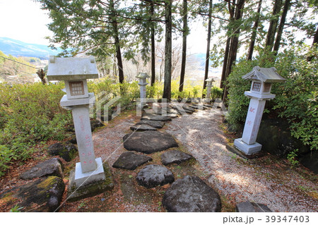 常陸国（ひたちのくに）出雲大社　龍蛇神社の参道 39347403