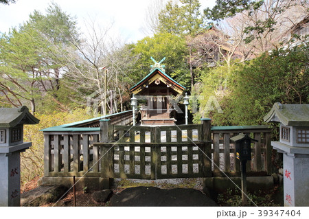 常陸国（ひたちのくに）出雲大社　龍蛇神社 39347404
