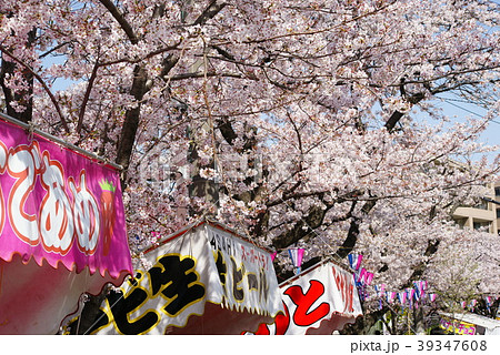 横浜 大岡川沿いの桜 39347608