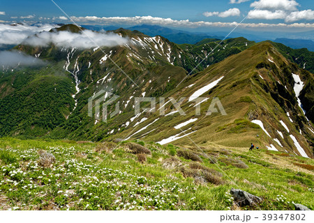 晴れ渡る谷川連峰・仙ノ倉山稜線からの眺め 晴れ渡る谷川連峰・仙ノ倉山稜線からの眺め 39347802