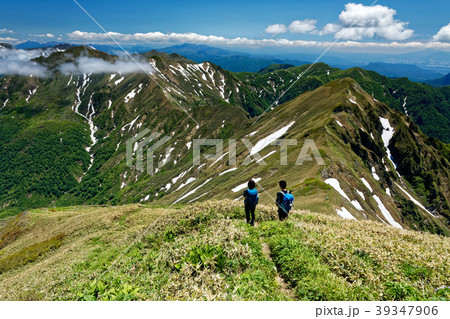 仙ノ倉山稜線から見る初夏の谷川連峰縦走路 39347906