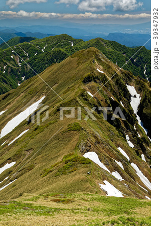 初夏の谷川連峰・エビス大黒の縦走路 39347932