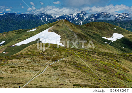 上越国境・平標山と雲湧く苗場山 39348047