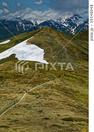 上越国境・平標山と雲湧く苗場山 39348048