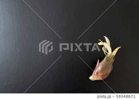 秋を告げる風味新鮮なミョウガ茗荷の花黒背景 39348671