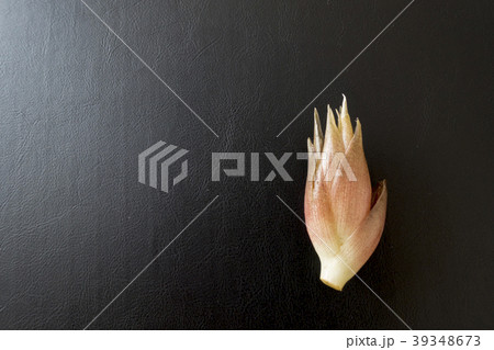 秋を告げる風味新鮮なミョウガ茗荷黒背景 39348673