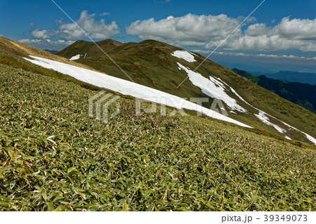 初夏の上越国境・仙ノ倉山への稜線 初夏の上越国境・仙ノ倉山への稜線 39349073