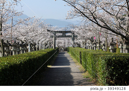 旭ヶ岡公園 39349128