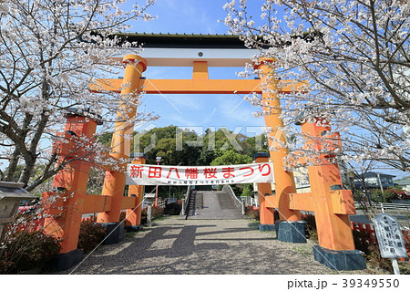 春の新田神社 39349550