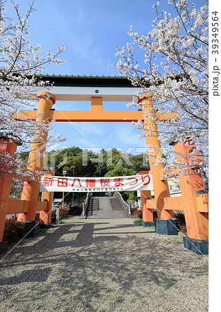 春の新田神社 39349564