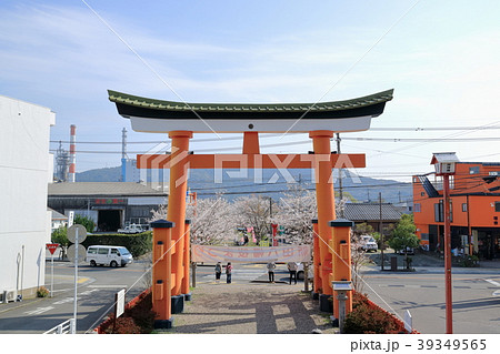 春の新田神社 春の新田神社 39349565