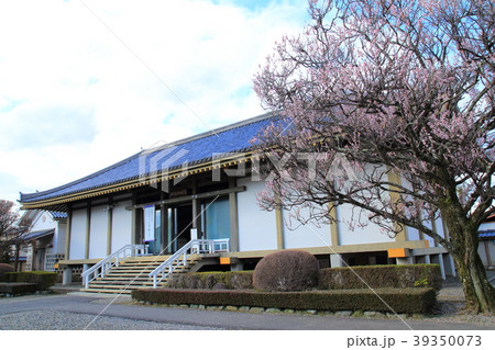 笠間稲荷神社 美術館 茨城県 笠間稲荷神社 美術館 茨城県 39350073