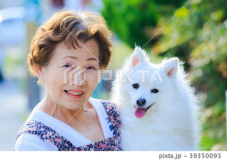 犬を抱いている日本人シニア女性 39350093