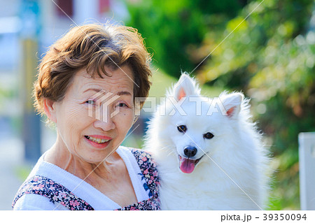 犬を抱いている日本人シニア女性 39350094