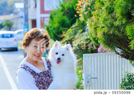 犬を抱いている日本人シニア女性 39350096
