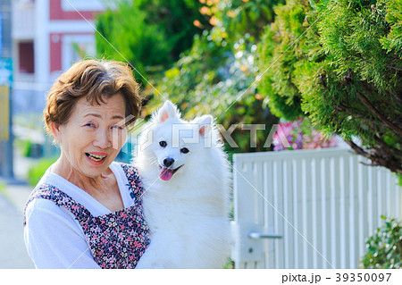 犬を抱いている日本人シニア女性 39350097