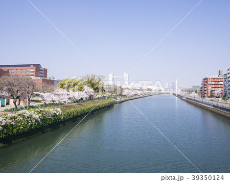 名古屋熱田区都市風景　御陸橋から名古屋国際会議場と名古屋駅中心部を望む 39350124