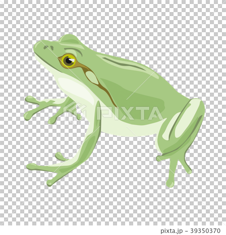 カエル 39350370