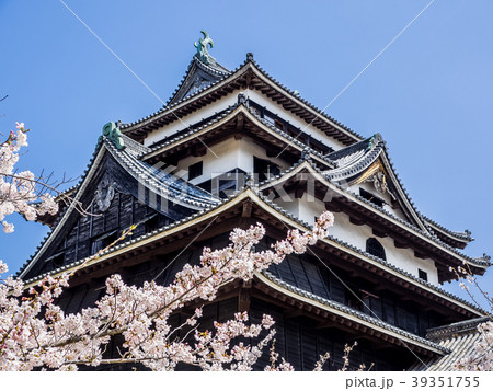 日本の城　松江城　別名千鳥城　天守閣は国宝　日本桜名所100選　都市景観100選に選ばれている 39351755