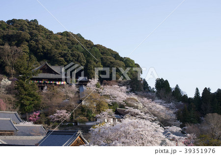 長谷寺 長谷寺 39351976