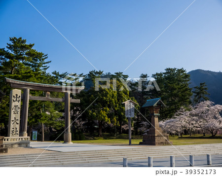 桜満開の出雲大社　島根県出雲市のパワースポット 39352173