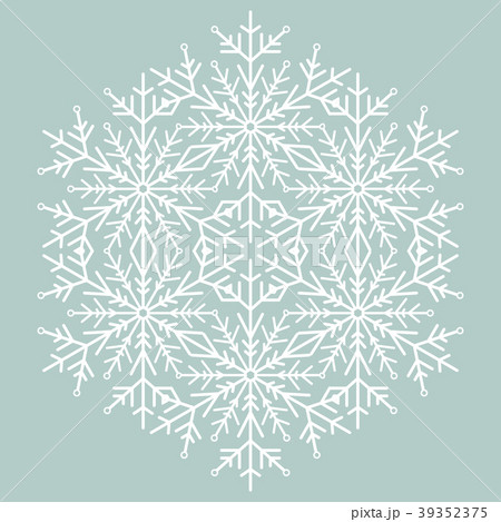 Pretty Vector Round Snowflake 39352375