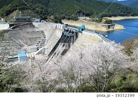 春の鶴田ダム 春の鶴田ダム 39352399