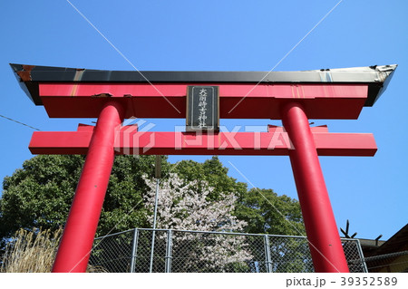 春の大前時吉神社 39352589