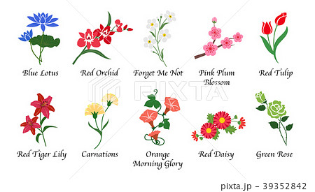 Organic Nature Botanic Garden Flower Collectionのイラスト素材