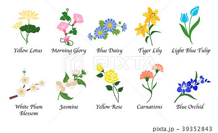 Organic Nature Botanic Garden Flower Collectionのイラスト素材