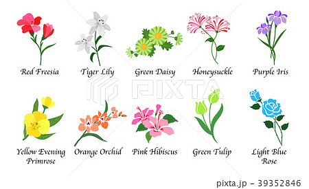 Organic Nature Botanic Garden Flower Collectionのイラスト素材