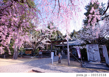 宇都宮市　蒲生神社 39353538