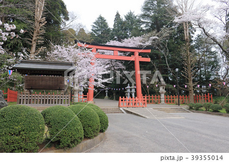 香取神宮(千葉県) 香取神宮(千葉県) 39355014