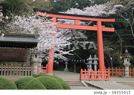 香取神宮(千葉県) 香取神宮(千葉県) 39355015