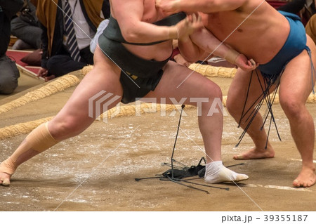 大相撲 大相撲 39355187