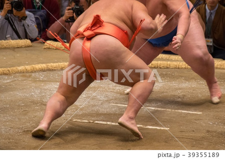 大相撲 大相撲 39355189