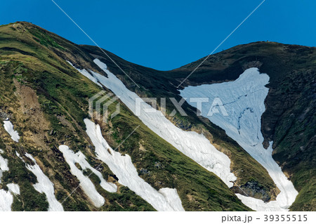 大源太山から見る残雪の仙ノ倉山稜線 大源太山から見る残雪の仙ノ倉山稜線 39355515
